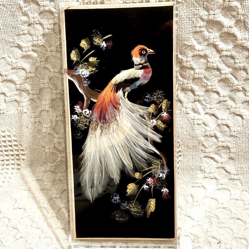 50’s Bird Painting & Real Feather Art on Heavy Cardboard Clear Frame Shadow Box